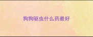 狗狗驱虫什么药最好