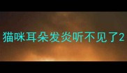 猫咪耳朵发炎听不见了