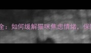 猫咪寄养应激反应全如何缓解猫咪焦虑情绪保障猫咪健康与安全