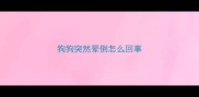 狗狗突然晕倒怎么回事