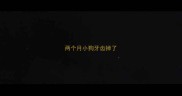 两个月小狗牙齿掉了
