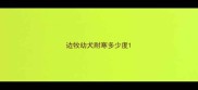 边牧幼犬耐寒多少度