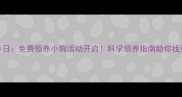 北京领养日免费领养小狗活动开启科学领养指南助你找到毛孩子