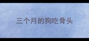三个月的狗吃骨头