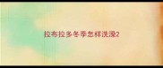 拉布拉多冬季怎样洗澡