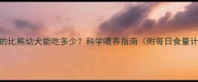 两个月的比熊幼犬能吃多少科学喂养指南附每日食量计算表