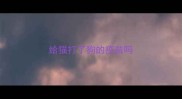 给猫打了狗的疫苗吗