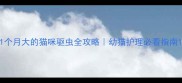 1个月大的猫咪驱虫全攻略幼猫护理必看指南