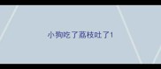 小狗吃了荔枝吐了