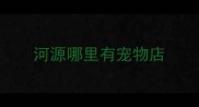 河源哪里有宠物店