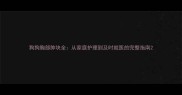 狗狗胸部肿块全从家庭护理到及时就医的完整指南