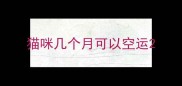 猫咪几个月可以空运