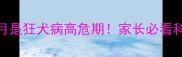 幼犬3-12个月是狂犬病高危期家长必看科学防护指南