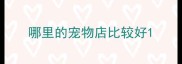 哪里的宠物店比较好