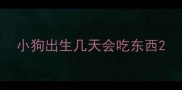 小狗出生几天会吃东西