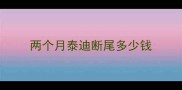 两个月泰迪断尾多少钱