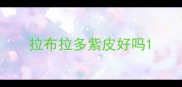 拉布拉多紫皮好吗