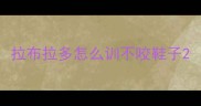 拉布拉多怎么训不咬鞋子