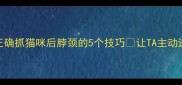 新手必看正确抓猫咪后脖颈的5个技巧让TA主动进猫包不抗拒