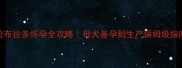 拉布拉多怀孕全攻略母犬备孕到生产保姆级指南