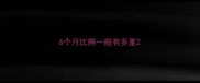 6个月比熊一般有多重