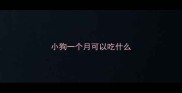 小狗一个月可以吃什么