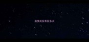 获奖的拉布拉多犬