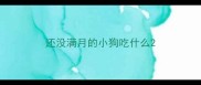 还没满月的小狗吃什么