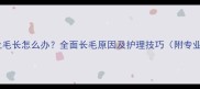 金毛幼犬脸上毛长怎么办全面长毛原因及护理技巧附专业解决方案