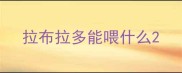 拉布拉多能喂什么