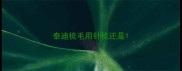 泰迪梳毛用针梳还是