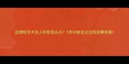 边境牧羊犬见人狂吠怎么办3步训练法让边牧安静待家