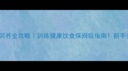 拉布拉多犬饲养全攻略训练健康饮食保姆级指南新手养狗必看