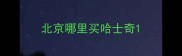 北京哪里买哈士奇