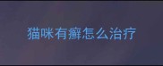 猫咪有癣怎么治疗