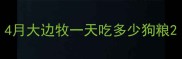 4月大边牧一天吃多少狗粮