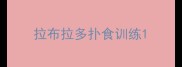 拉布拉多扑食训练
