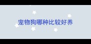 宠物狗哪种比较好养