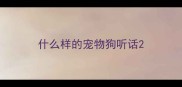 什么样的宠物狗听话