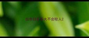 拉布拉多多大不会咬人