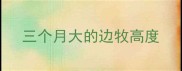 三个月大的边牧高度