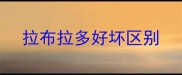拉布拉多好坏区别