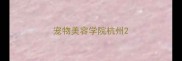 宠物美容学院杭州