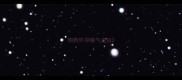 狗狗怀孕喘气发抖