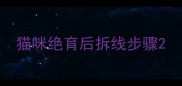 猫咪绝育后拆线步骤