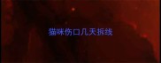 猫咪伤口几天拆线