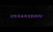 边牧耳朵有全趴的吗