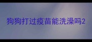 狗狗打过疫苗能洗澡吗