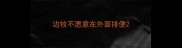 边牧不愿意在外面排便