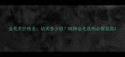 金毛犬价格全幼犬多少钱纯种金毛选购必看指南